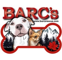 BARCS Rescue